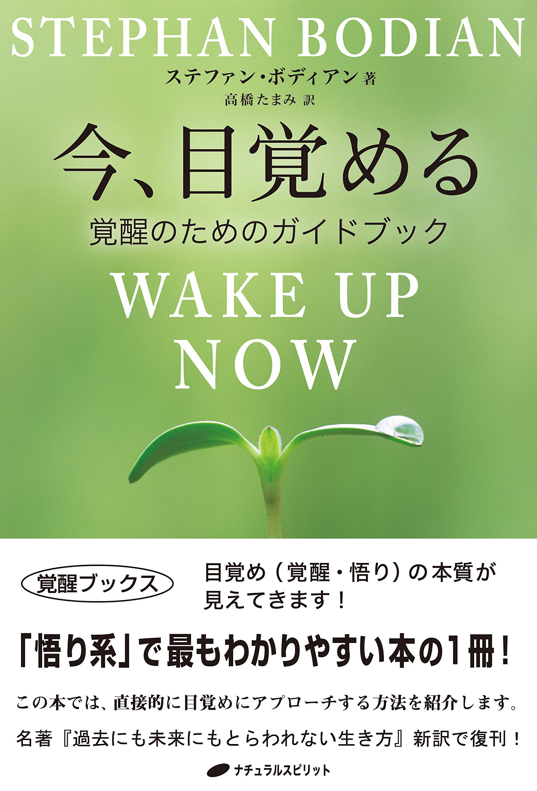 今 目覚める 覚醒のためのガイドブック 覚醒ブックス ステファン ボディアン 高橋 たまみ 配送料無料