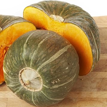 Mountain Valley Seed Company Burgess Buttercup Winter Squash Seeds