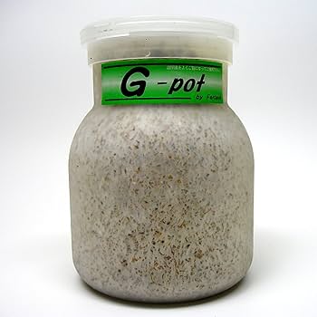 BREED　１１００菌糸ビン　２５本　Go様 Amazon | 月夜野きのこ園 Element E-1100 菌糸ビン クワガタ幼虫