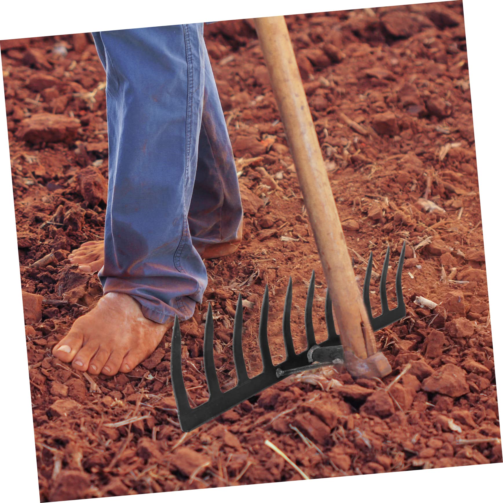 Rastrillo de Clavos para Agricultura de 11 Dientes de Hierro Negro