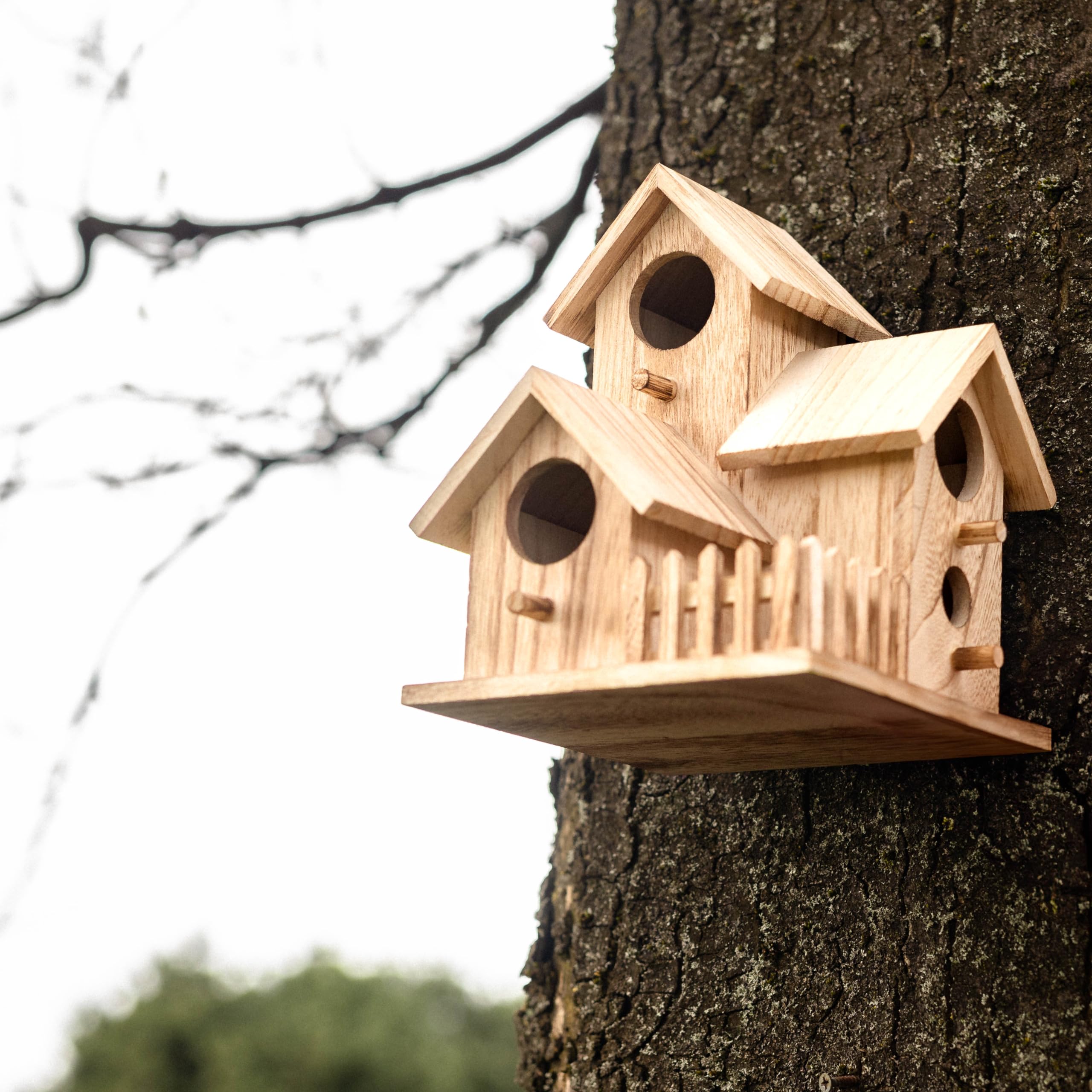Unique Bird Boxes