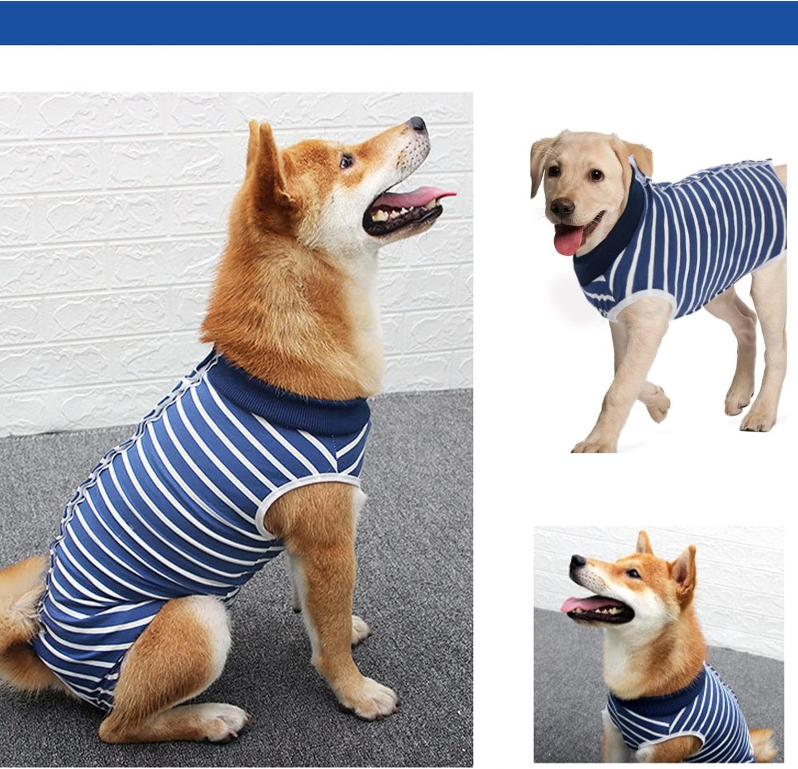 FAXIOAWA Tuta per Recupero Cani - Collare elettronico Alternativo Cono Addominale Tuta Alternativa per Recupero sterilizzazione Cani - Tuta per Recupero Cani Maschio -Vu01,Bluestripe-XXXL