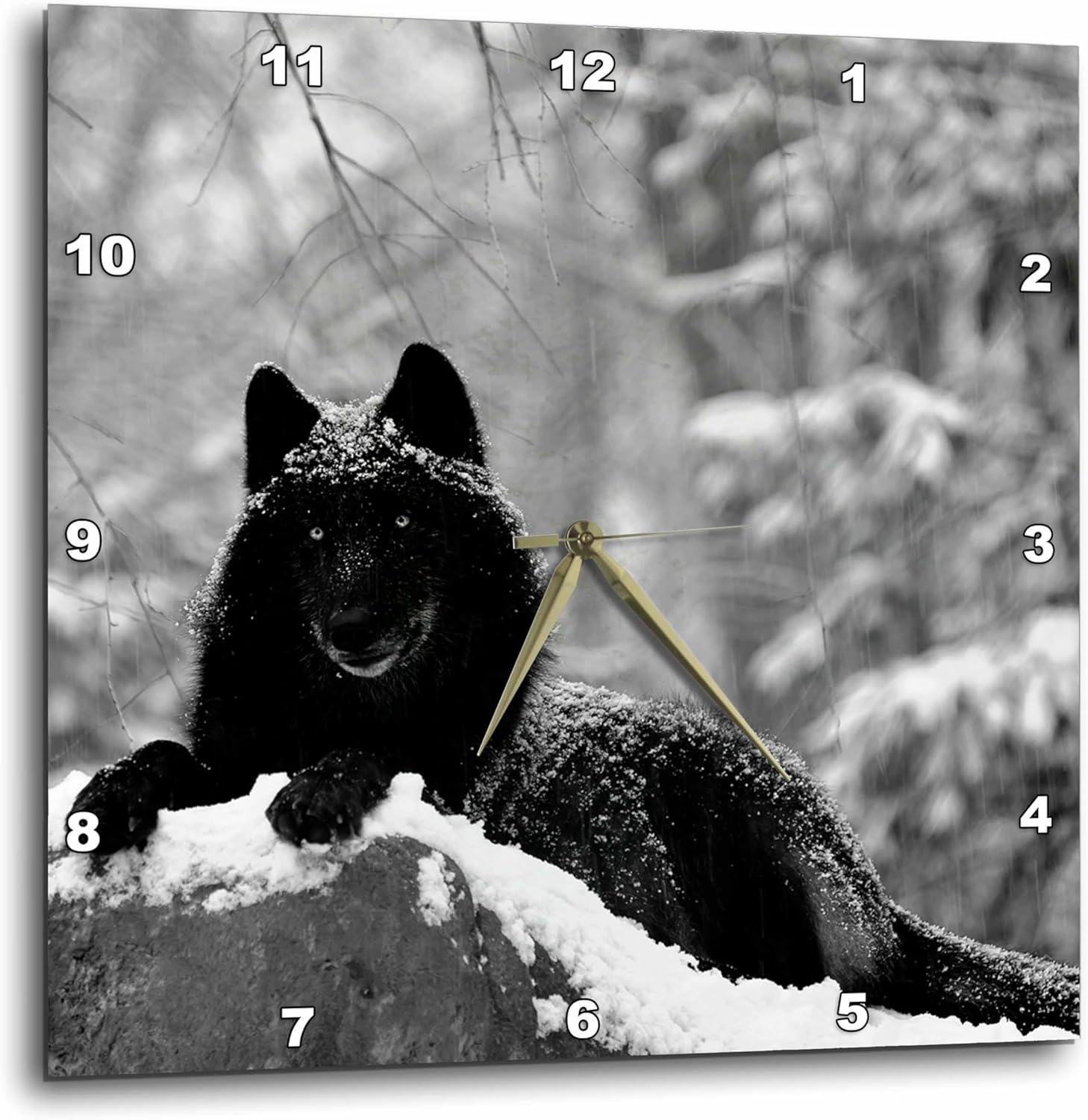 3dRose Wall Clock Silent - 13 inch - Rocky Mountain Wolf, Black White - Animals