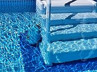 Review Image by Renaissance Dude Renaissance Dude