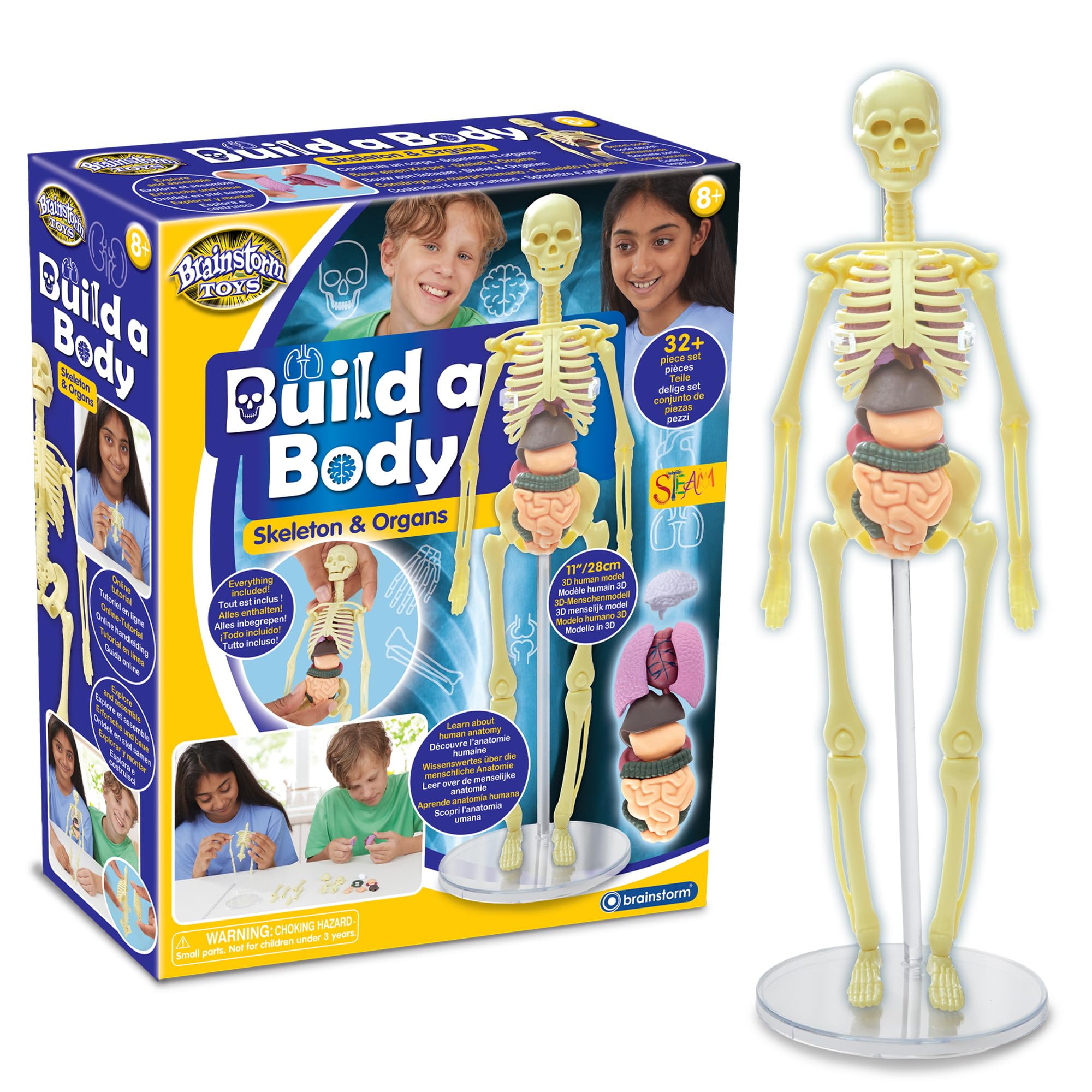 Brainstorm Toys Build A Body Activity Kit - 32-Piece 3D Human Anatomy Model for Kids – Educational Build & Learn Kit with Removable Organs, Bones, Display Stand, Online Tutorial & Fun Body Facts