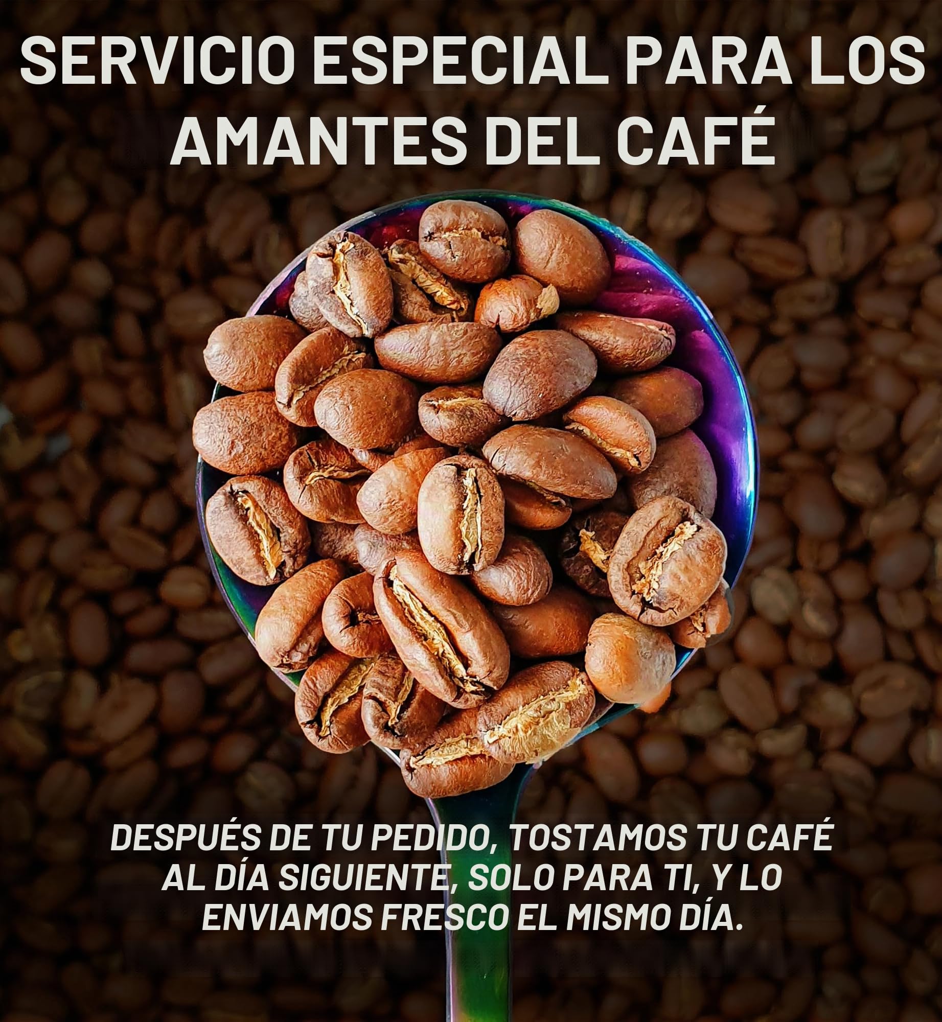 Freshest Specialty Coffee Beans | 80 CUP Roastery | Single Origin ~ Roasted After Order (1000g, Ethiopia Yirgacheffe)