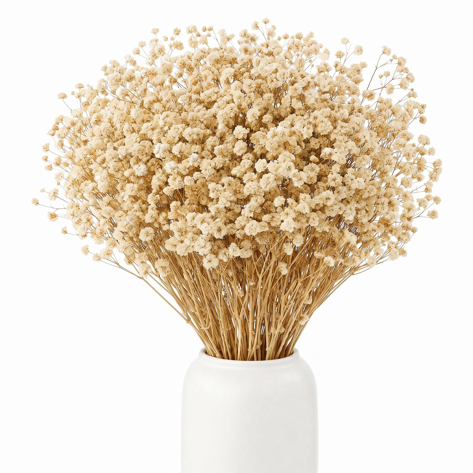 BOSONER Pampasgras Trockenblumen Schleierkraut Getrocknet: Ewige Blumenarrangements Pflegefreie Trockenblumenstrauß Für Hochzeits Deko Schlafzimmer Home Decoration Vase Basteln 120 Gramm (Weiß)
