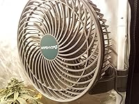 Review Image by Redneck Jesus Redneck Jesus