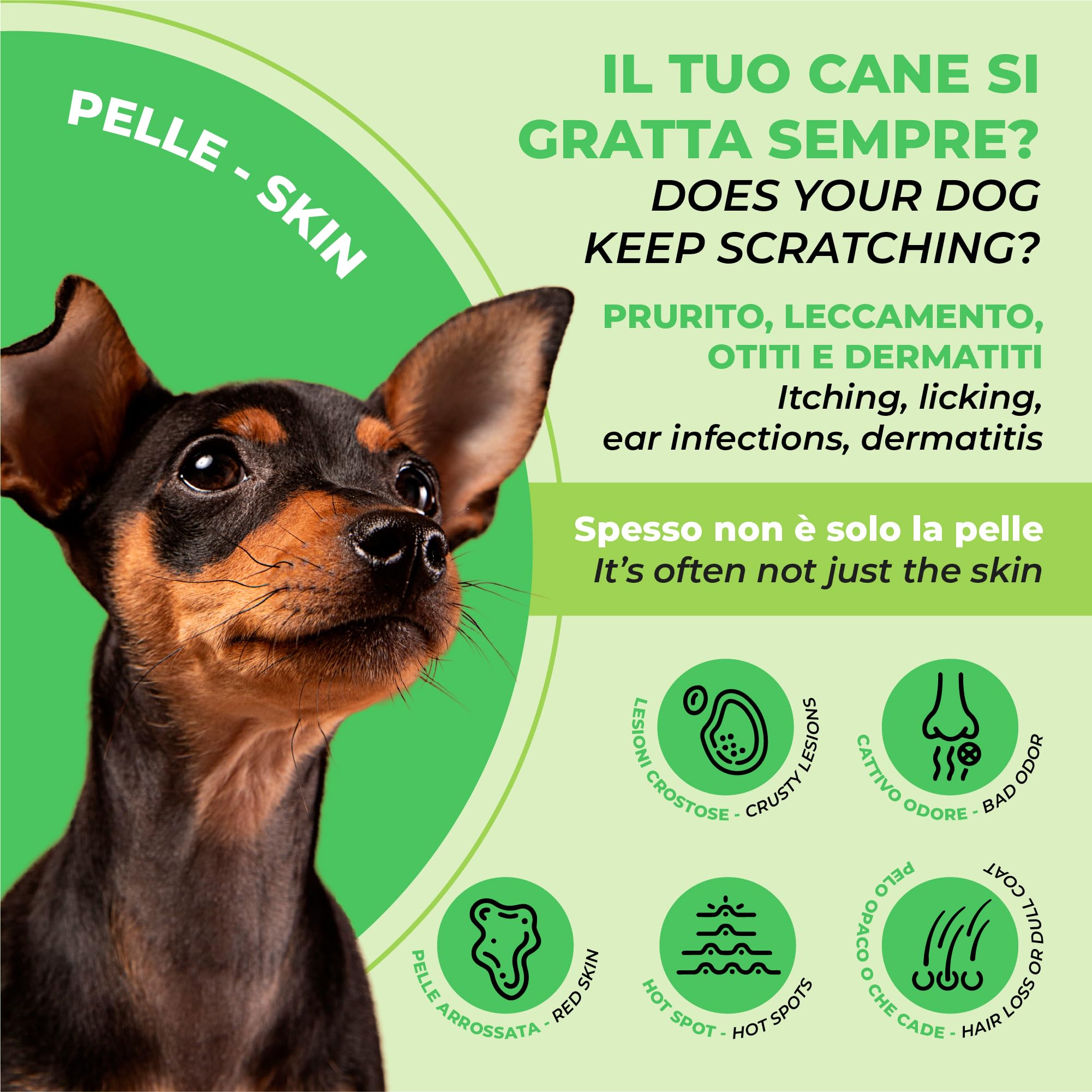 PETCEUTICA Protocollo Skin Pet per Cane, Gocce e Probiotici, Olio di Ribes e Fermenti Lattici, Asse Intestino-Pelle, Made in Italy