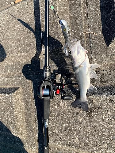 Amazon | AbuGarcia (アブガルシア) ソルティーステージプロトタイプ
