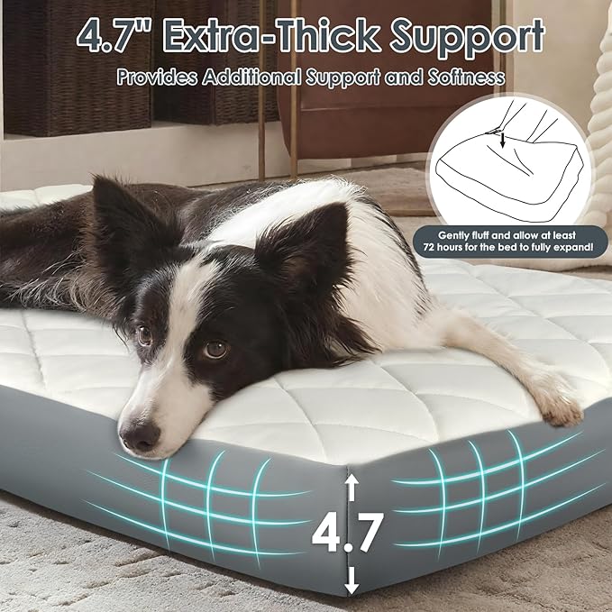 Cama Ortopédica para Perro Grande 90x60cm Espuma Memoria Imp miniatura 4