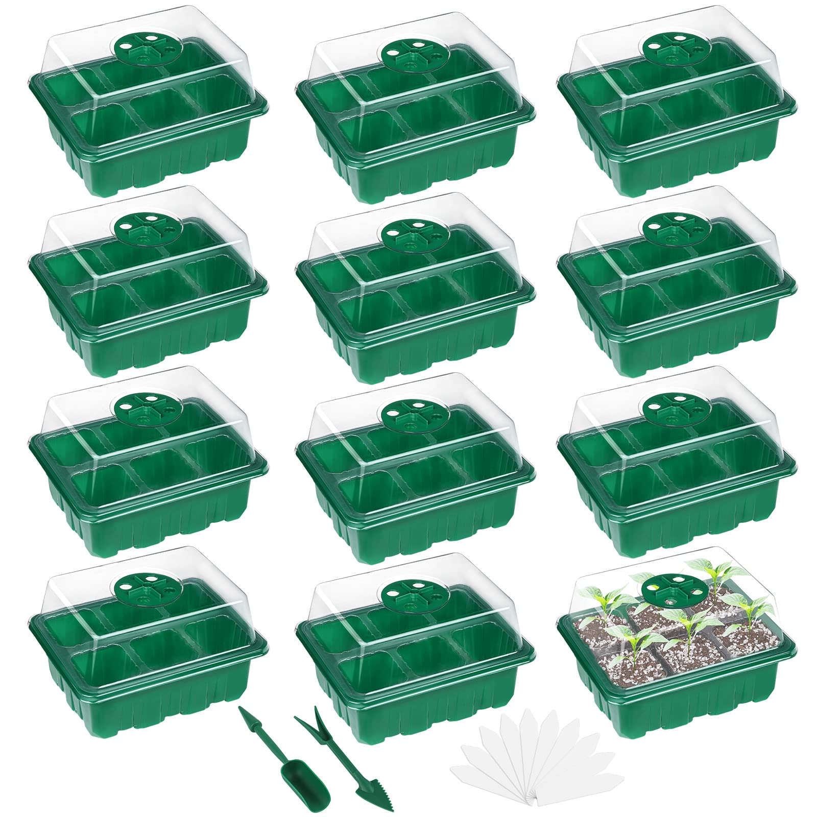 Buy Elcoho 12 Set Seed Starter Tray Kit 6cells Seedling Trays with