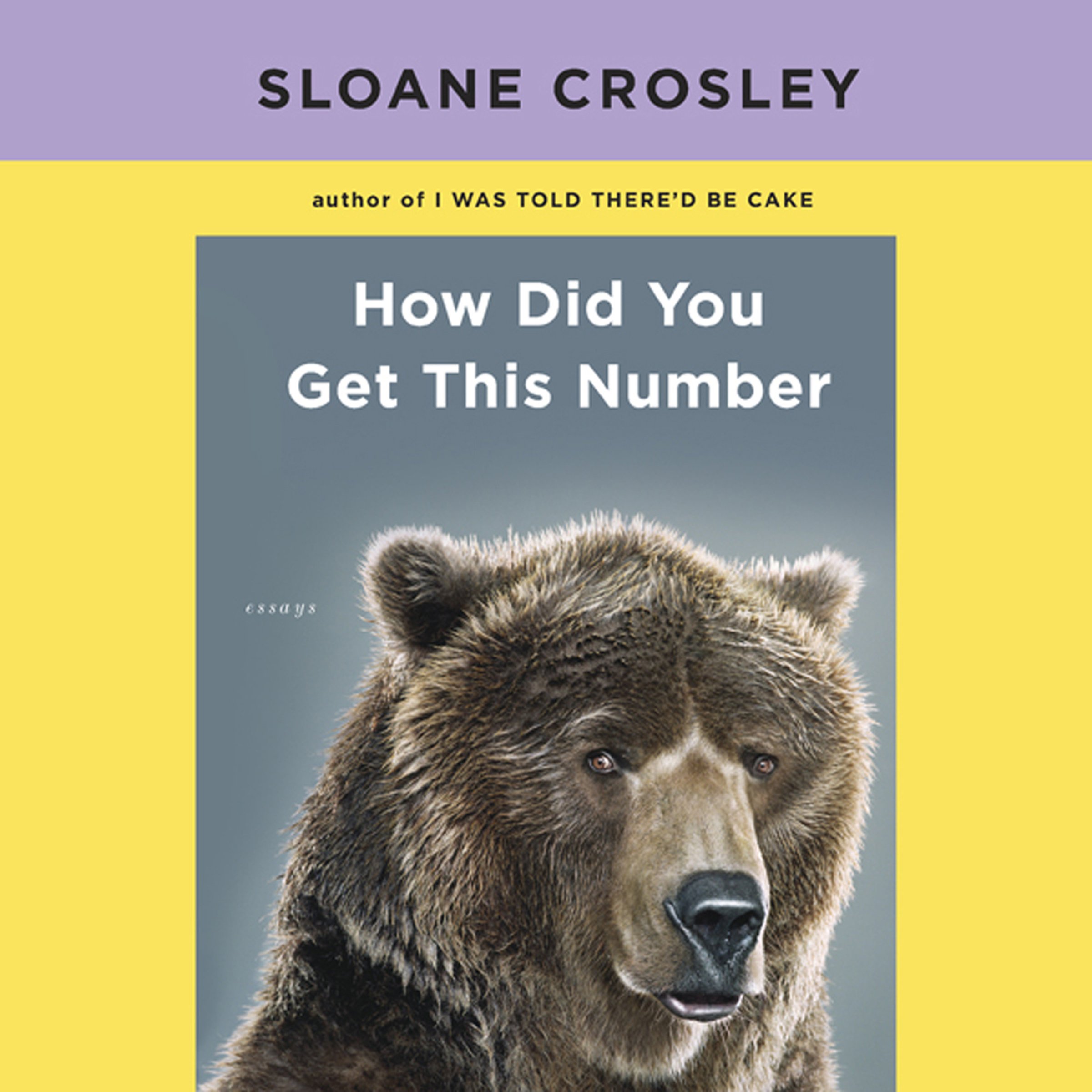 Cover art for How Did You Get This Number