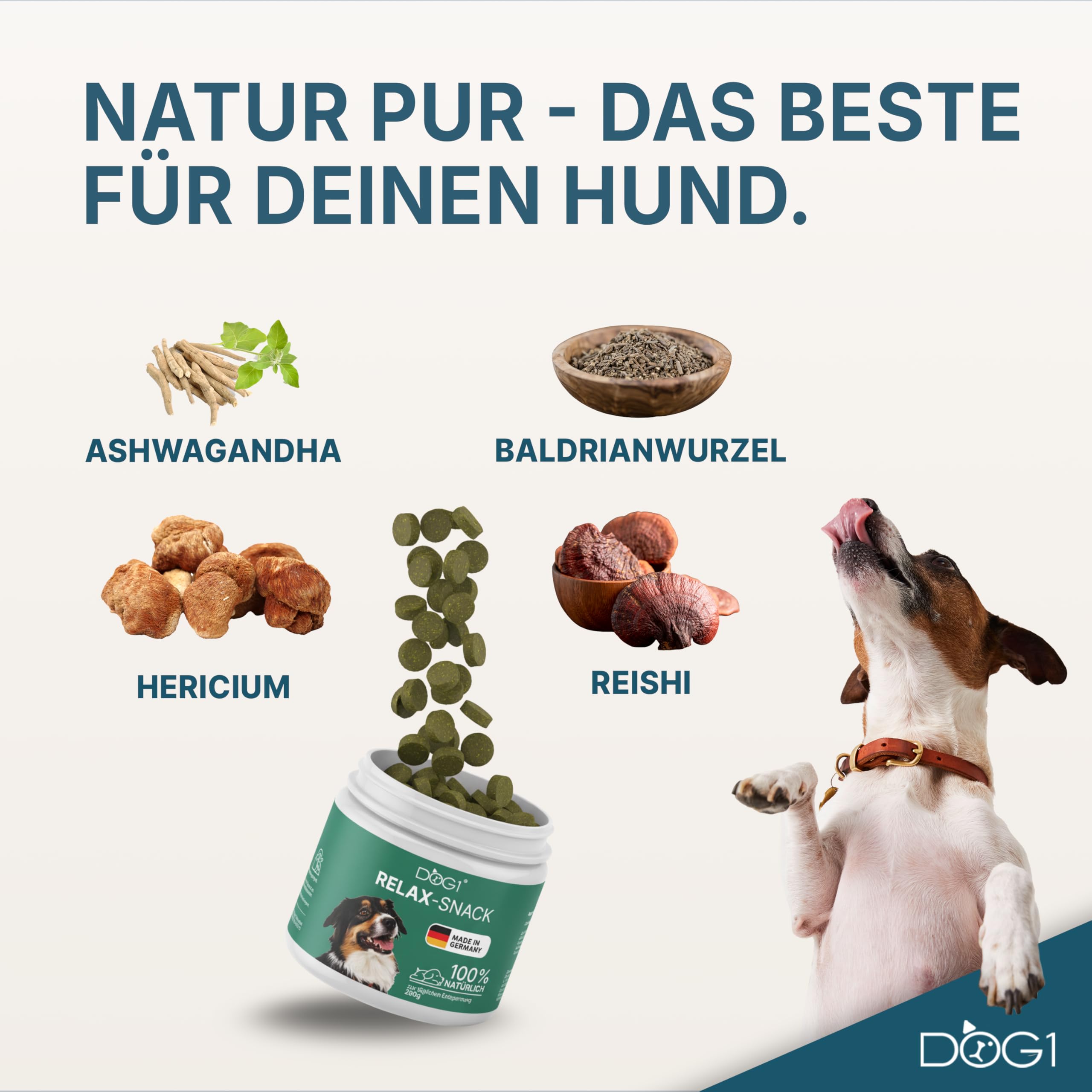DOG1 Beruhigungsmittel für Hunde – Beruhigungssnack mit Baldrian, Ashwagandha & L-Tryptophan – Natürlich gegen Stress, Angst & Unruhe – für Silvester, Autofahrt, Gewitter – 280g Made in Germany
