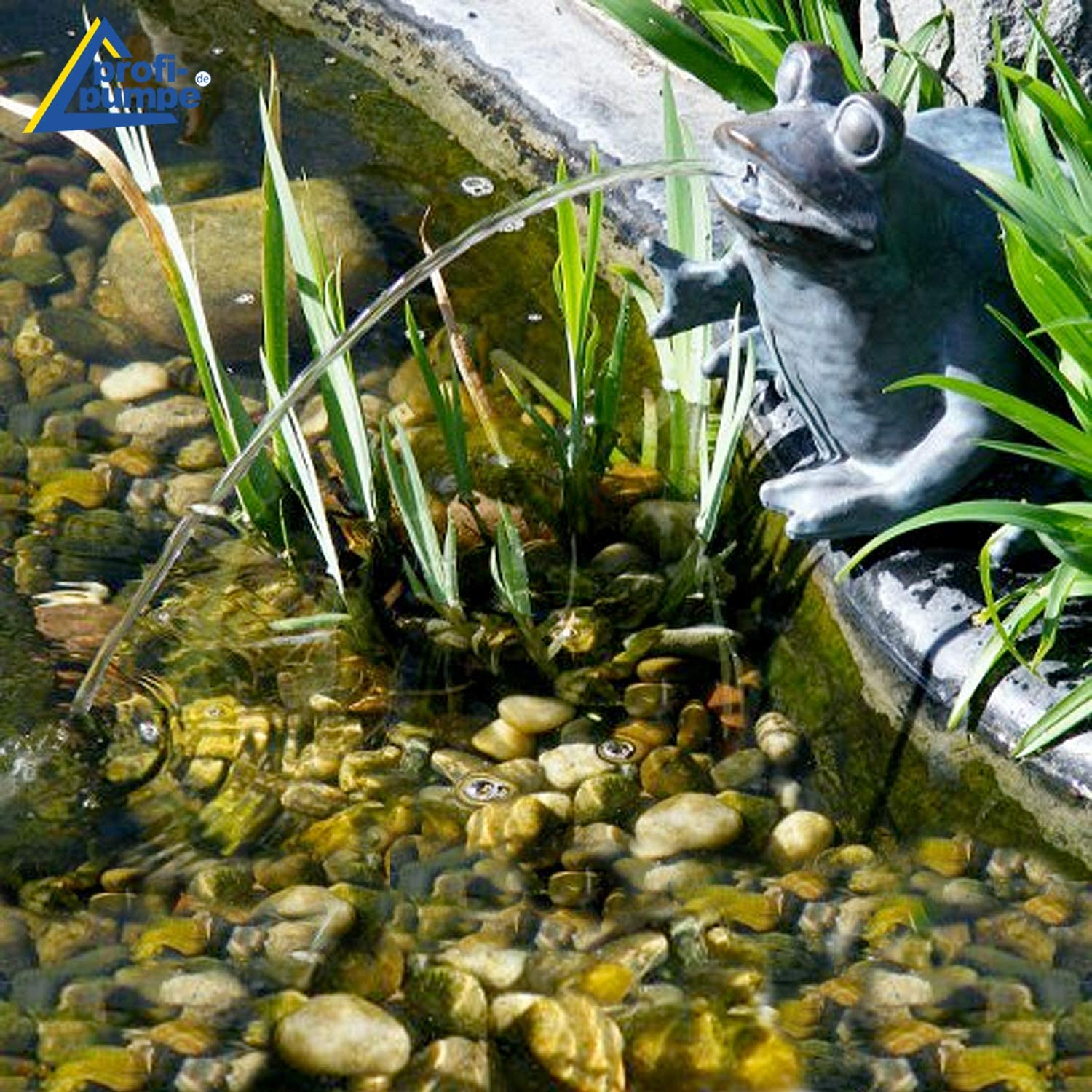 Fuente Solar - Fuente Decorativa Exterior - Bomba para Estanque ''Rey Rana'' Fuente Solar con Juego de Agua - Bebedero para pájaros - Bomba Solar DE Agua - Bomba