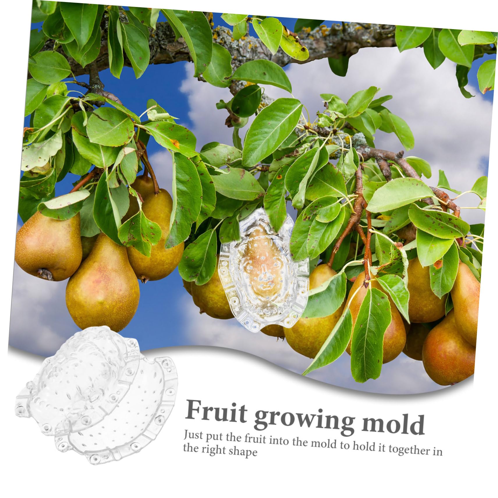 HANABASS Moule De Forme De Fruit Transparent Moule De Décoration De Melon Pour Fruits Et Légumes Pour Jardin Et Potager Usage Multiple Et Pratique Résistant Chaleur Et Soleil