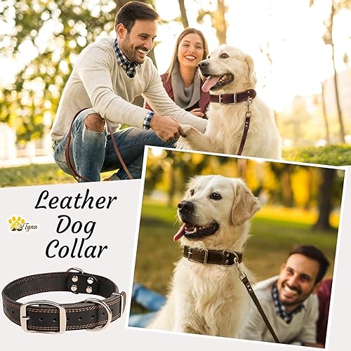 Miniatura 8 de Juego de collar y correa de cuero negro para perro, correa de cuero para perro de 6 pies x 3/4 pulgadas y collar de perro para perros grandes