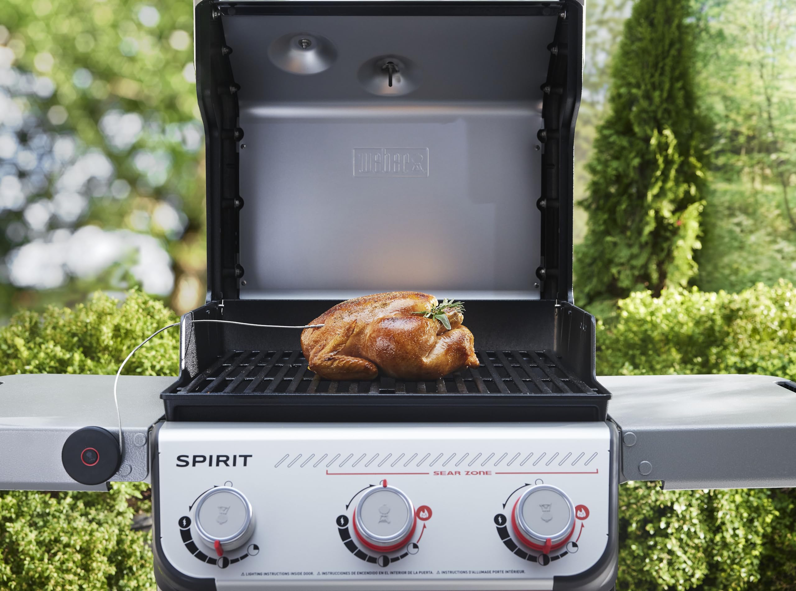 Weber Smart Thermomètre avec sondes de Grille et de Viande/Mesure la température du Gril et à cœur pour Une Cuisson Parfaite – Noir (3400590)