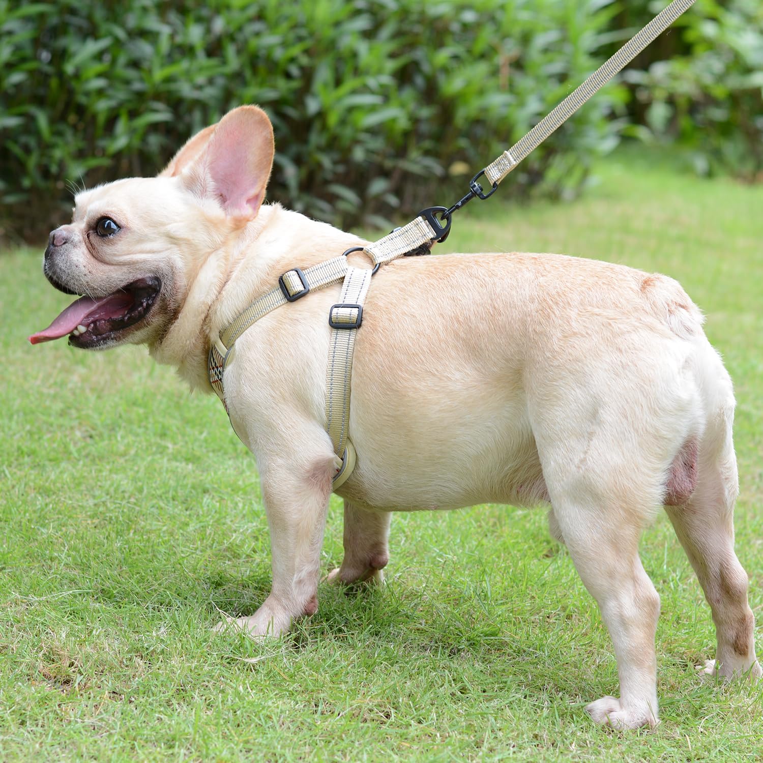 Elevant Harnais Chien Anti Traction Réglable, Step-in Harnais pour Chiens Réfléchissant Respirant Confort Doux Gilet Rembourré pour Petite, Moyenne et Grande Chiens (XS, Beige Marron)