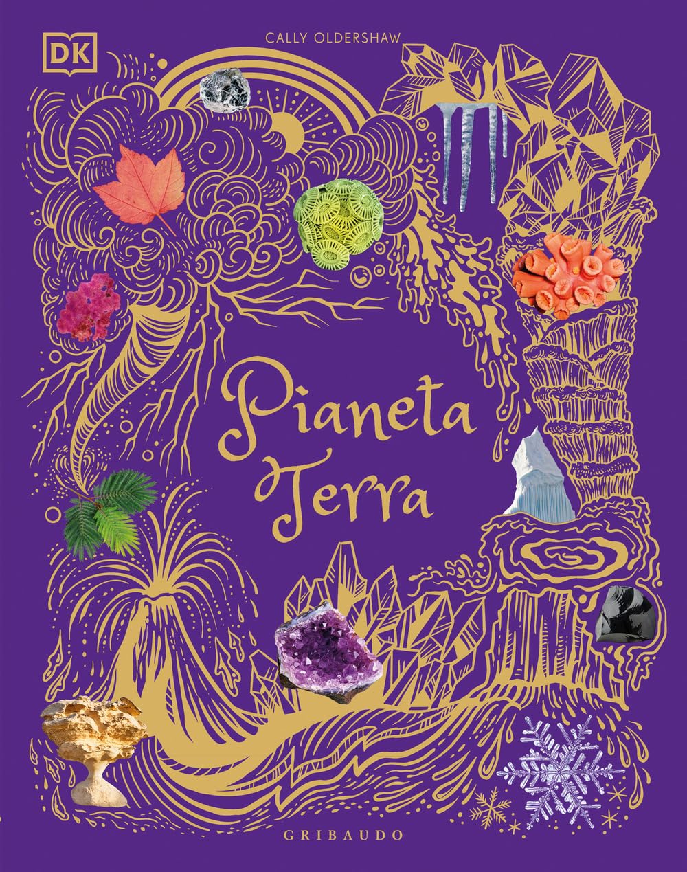 Pianeta Terra. Ediz. Illustrata - 4