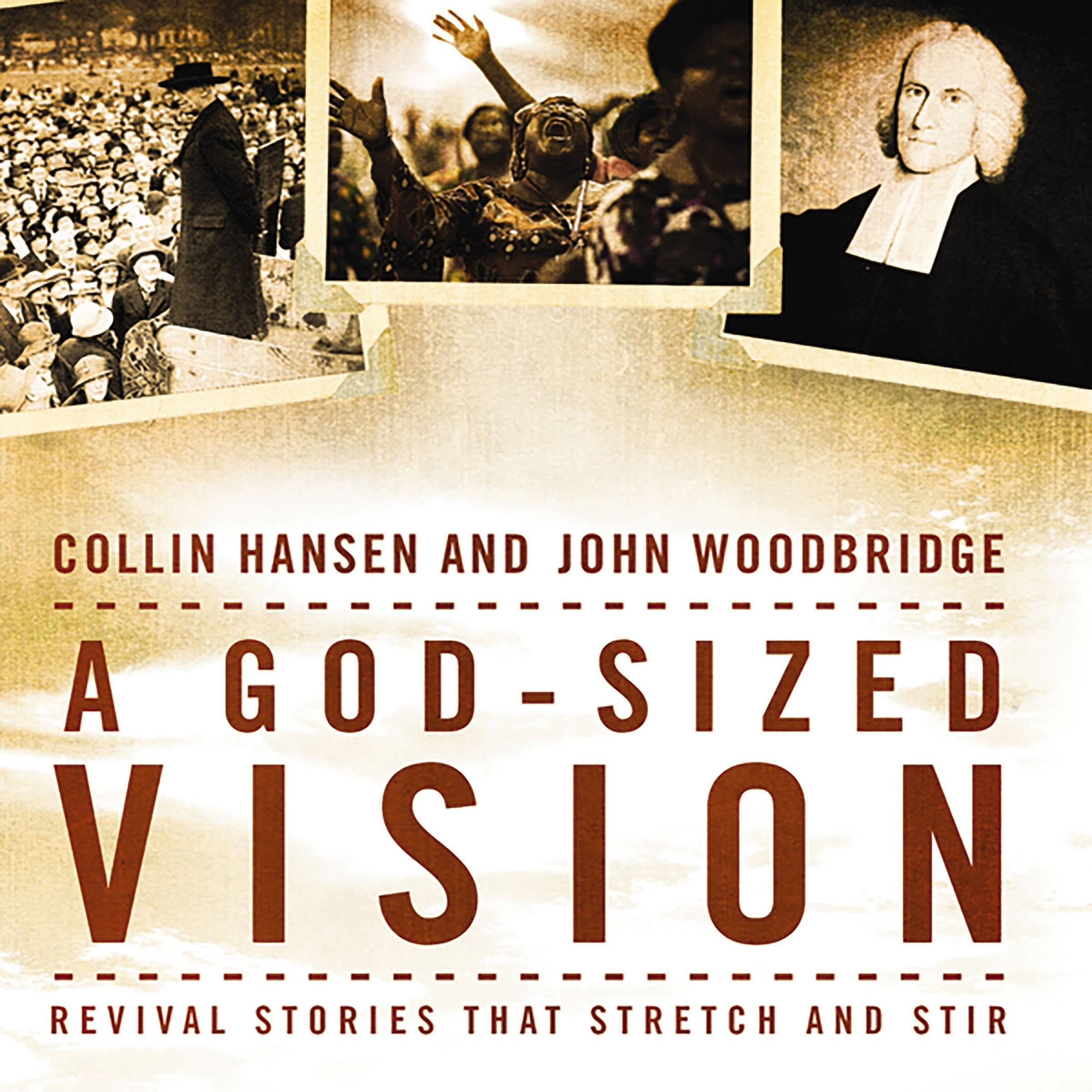 Cover art for A God-Sized Vision