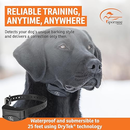 Miniatura 2 de SportDOG Brand NoBark 10 Collares, collares antiladridos de perro, recargable, collar programable, tecnología de socio silencioso, dos modos