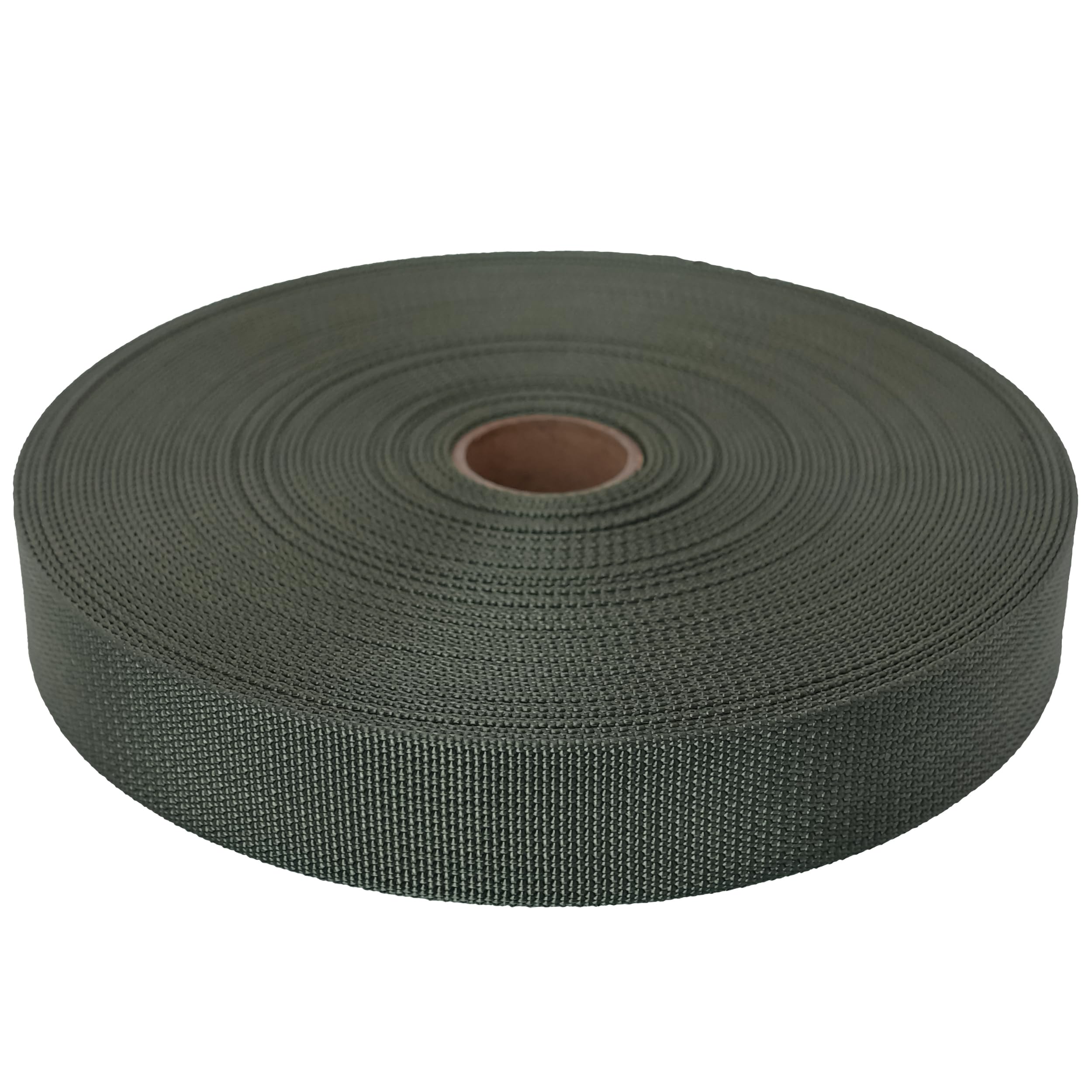 GM CLIMBING MIL-W-17337 Nylon Webbing Flat MilSpecs 1200Lbs for Tactical Goods, Backpack Straps, Loops, Slings, PALS MOLLE Webbing Adapter 1 inch x 30Ft / 10 Yards Ranger Green