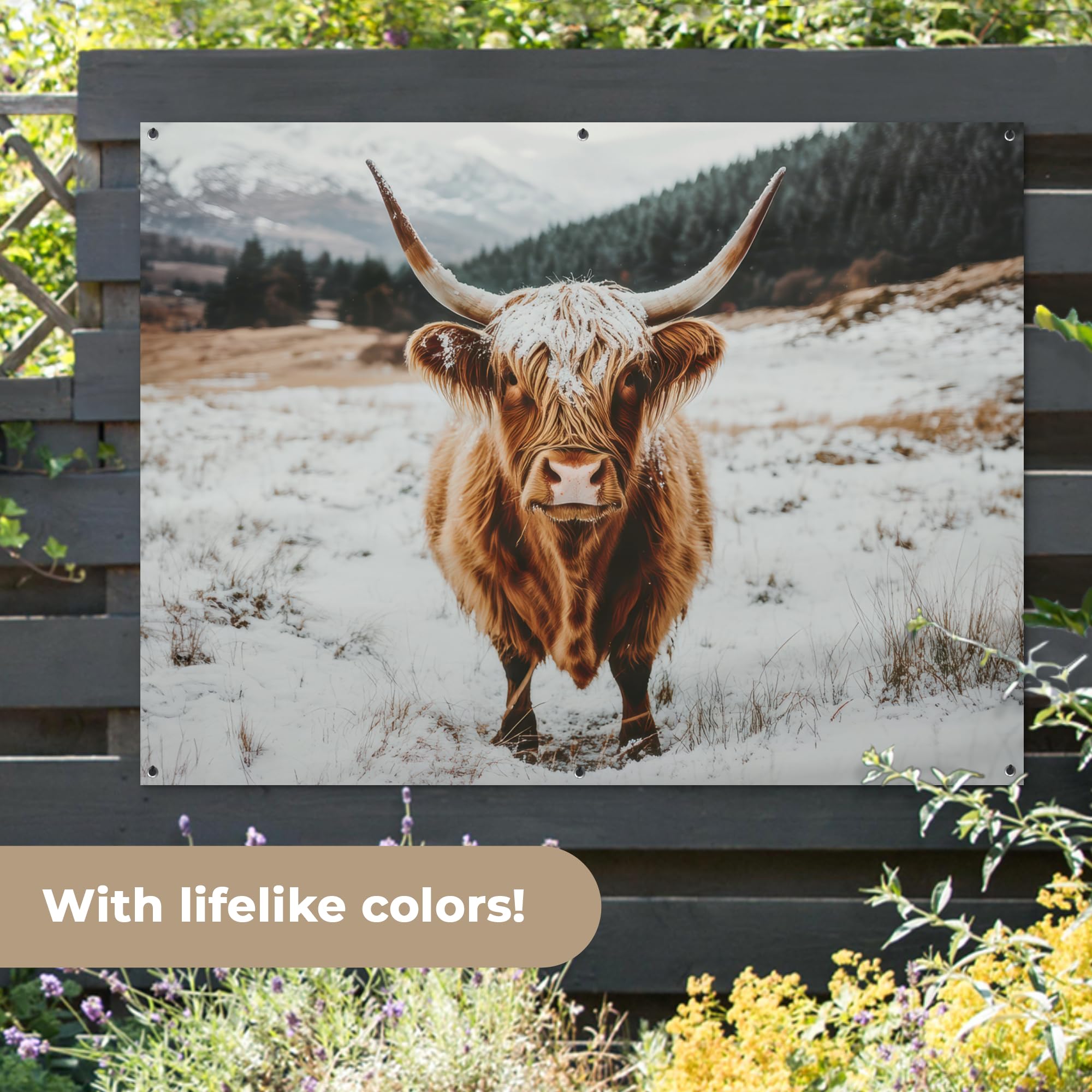 MuchoWow© Poster De Jardin Decoracion Balcón Wall Decoration Adornos Pared | 160x120 cm - Terraza Exterior Decoración Patio Posters Decorativos Highlander escocés - Paisaje - Nieve - Montañas