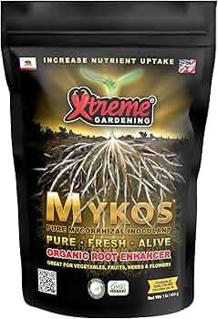 81IHfx4-x3L._AC_UF350,