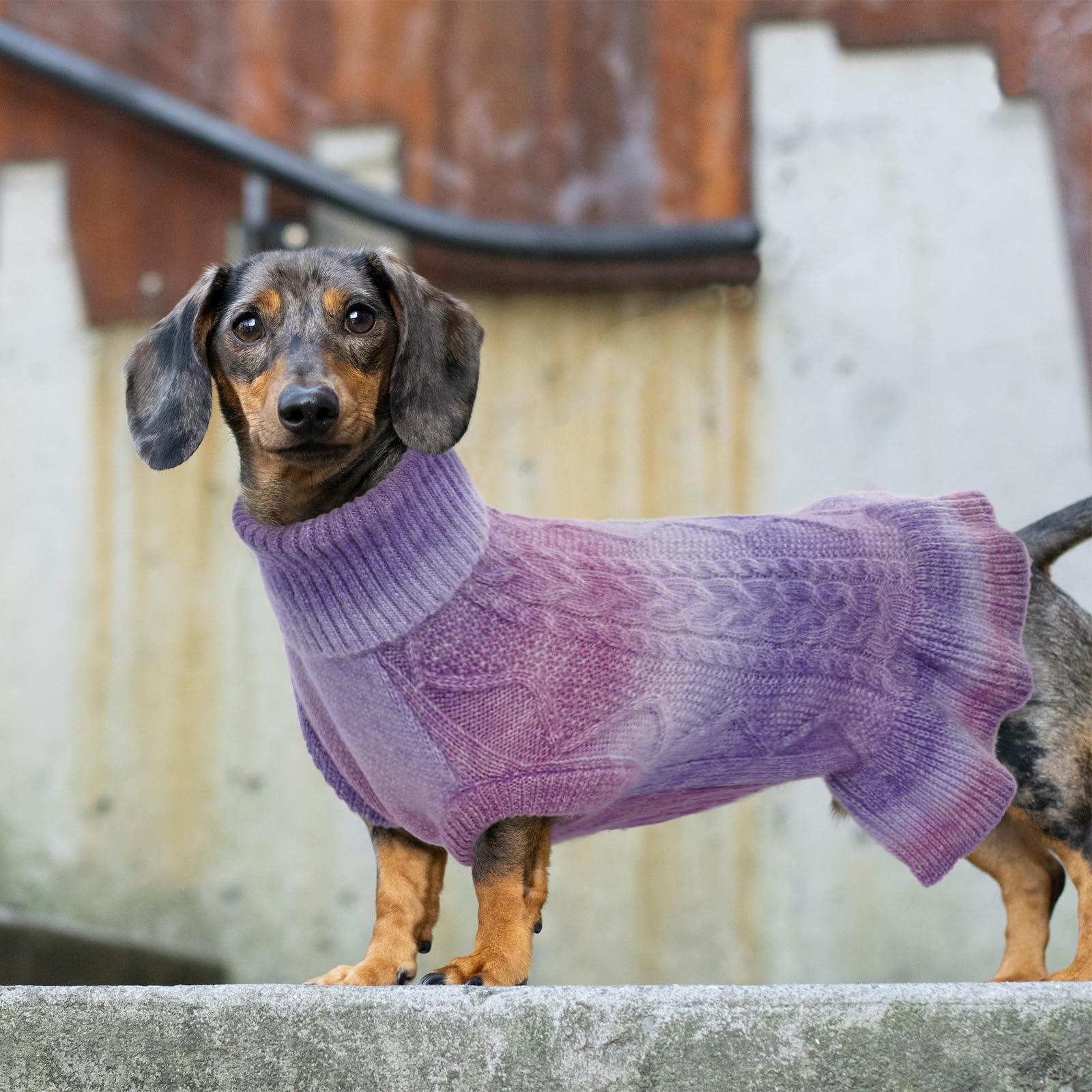 Lelepet Chandail en tricot à col roulé pour chien de petite, moyenne et grande taille – Pull d'automne à col roulé pour chiens de petite, moyenne et grande taille (Pitbull, laboratoire, taille XL