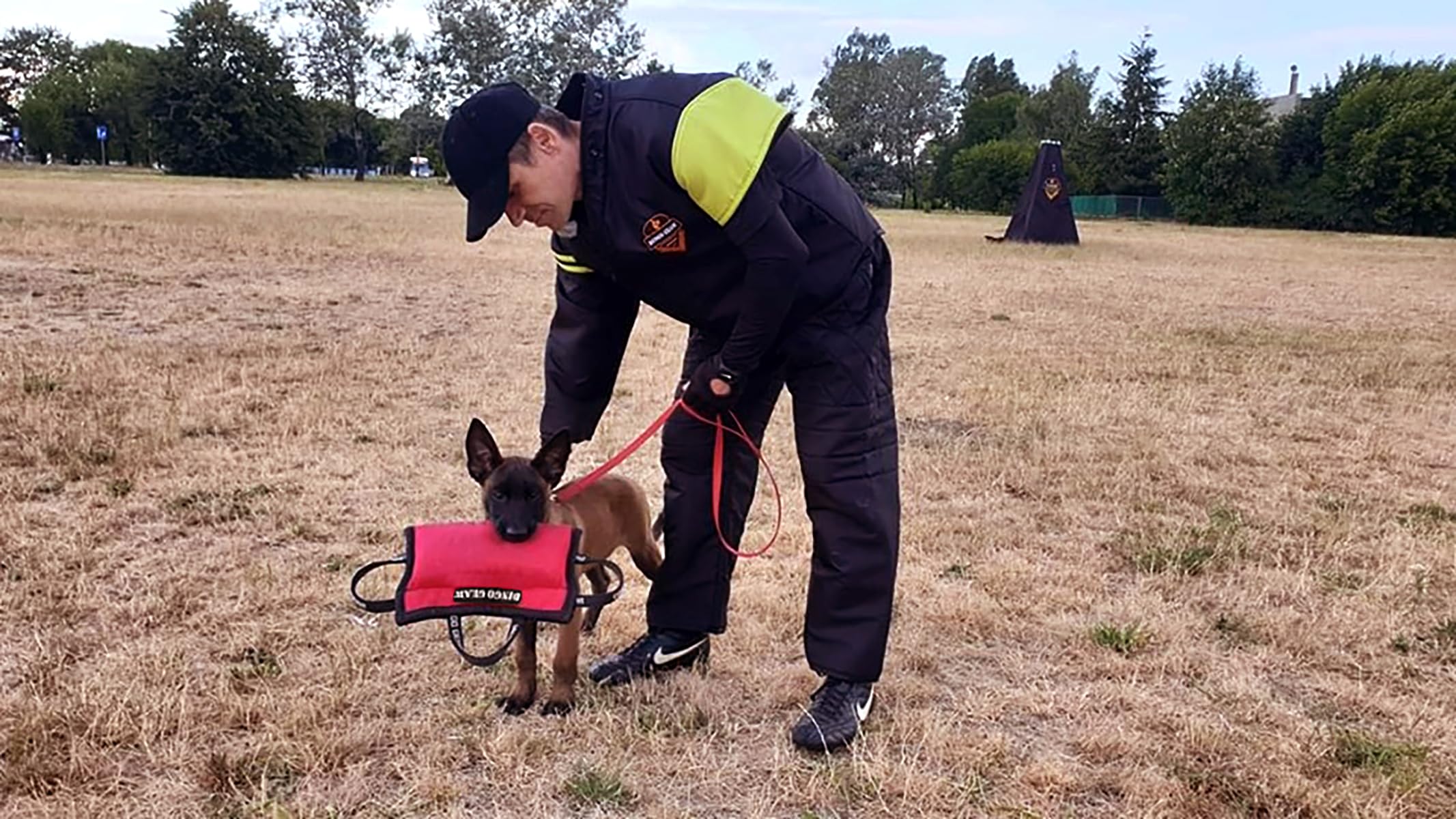 Dingo Gear Cojín Mordedor en Forma de Cuña, Tamaño Mediano y Suave, de Algodón-Nailon para Entrenamiento IPO IGP, Adiestramiento de Perros, Color Rojo, Modelo S00527