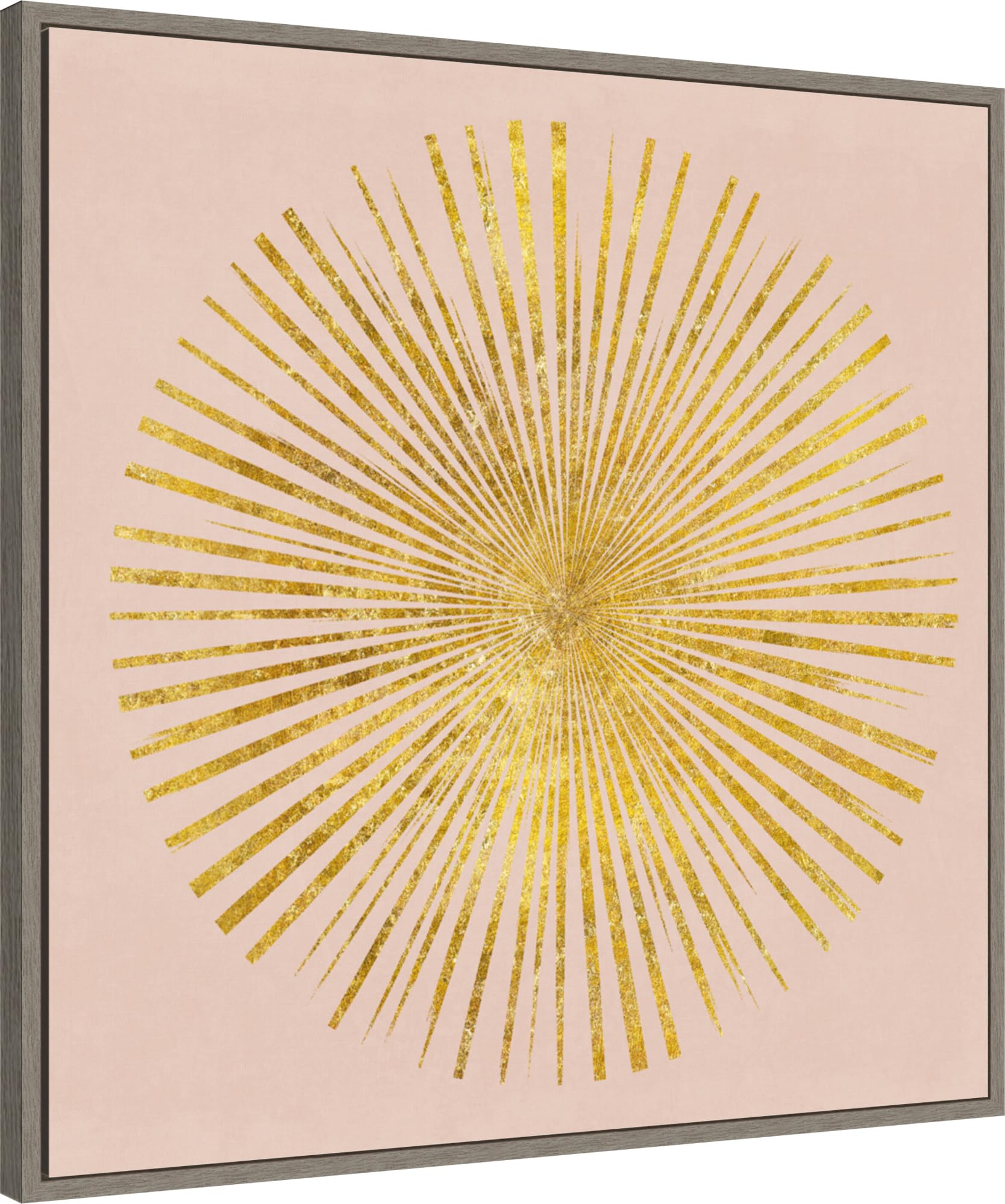 Amanti Art Framed Canvas Wall Art 30x30 Sunburst I on Pink by Wild Apple Portfolio, Framed Wall Art Canvas, Abstract Artwork, Country Rustic Decor, Large Poster Painting for Living Room, Bedroom,