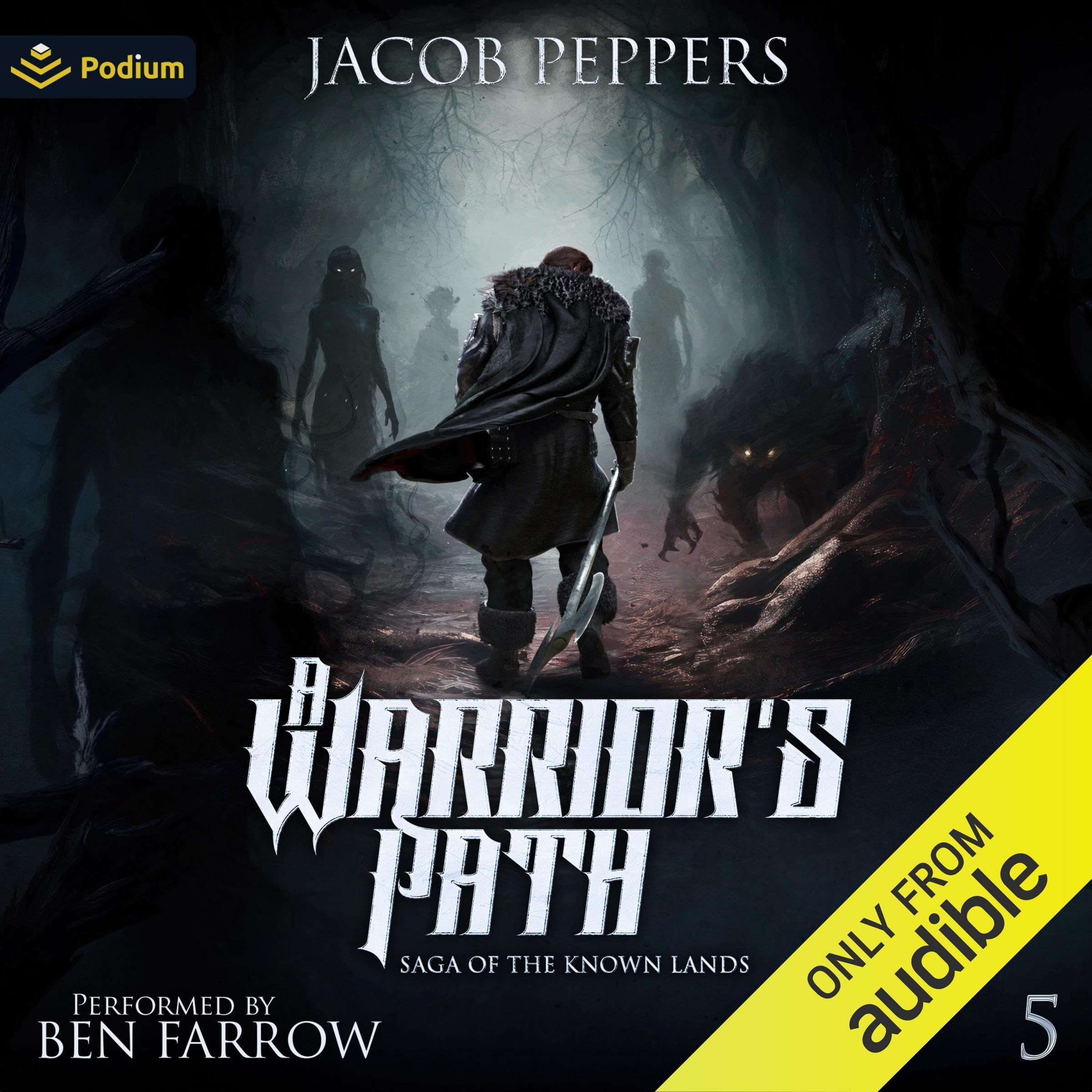 Cover art for A Warrior's Path