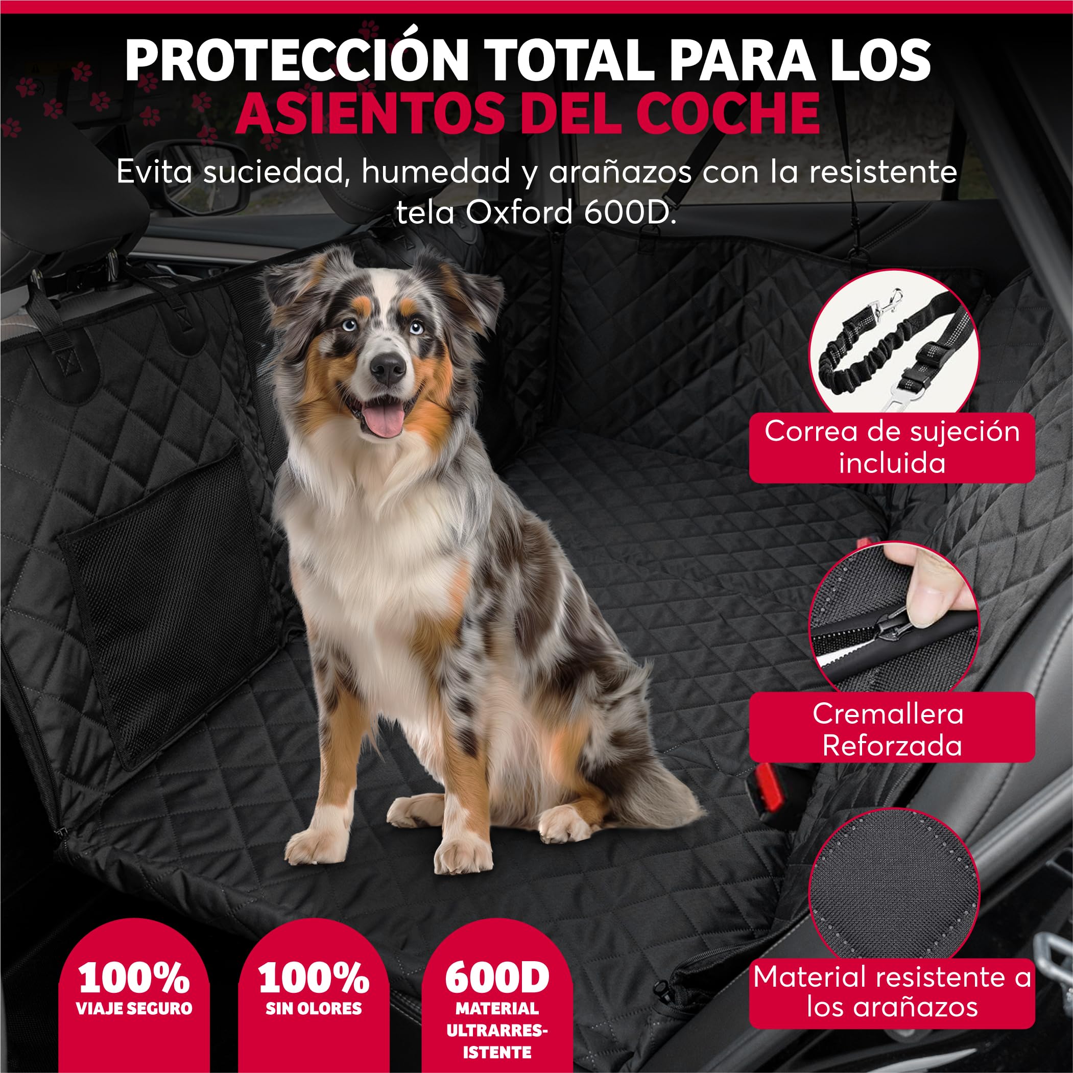 SweetSolutions© Funda Coche Perro | Protector Coche Perros Asiento Trasero | Impermeable y Resistente | Cubre Asientos Protector | Ventana de Malla Visible y Cremallera | Incluye Correa y Guante |
