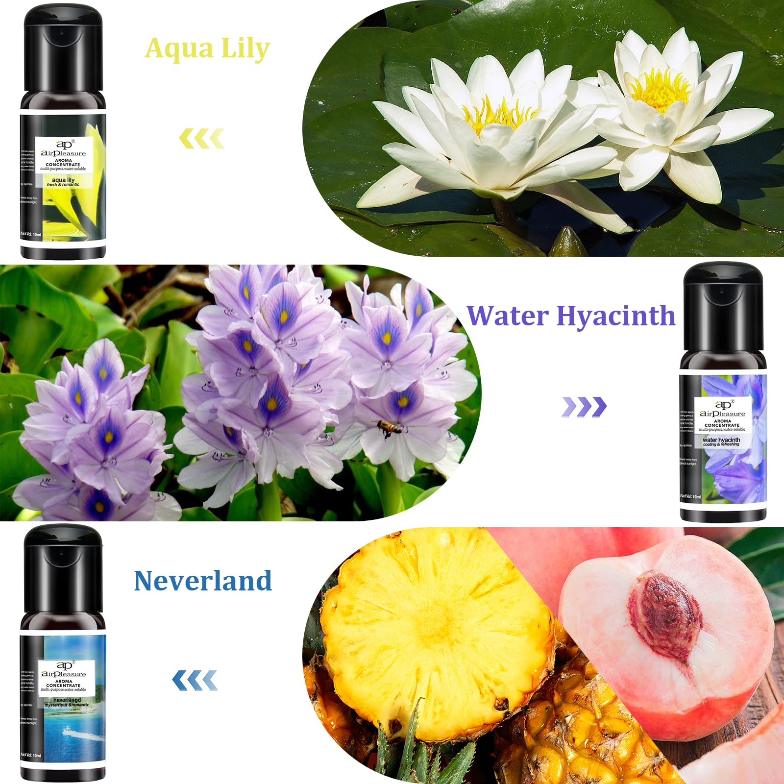 Aceites esenciales Reborn Aroma Oils Multifunción Blends Set de regalo Aceites para difusor de aromaterapia, humidificador, aceites aromáticos naturales, 6 botellas, 0.5 fl oz 5