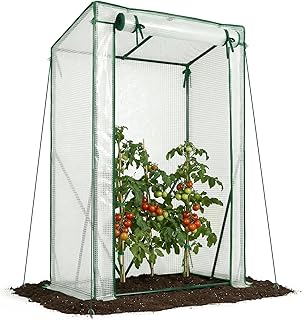 VOUNOT Gewächshaus Foliengewächshaus 100x50x150 cm, Schrägdach Tomatengewächshaus Stabil Tomatenhaus für Gemüse, Blumen & Obst, Verstärkte PE-Folie 135g/m², Weiß