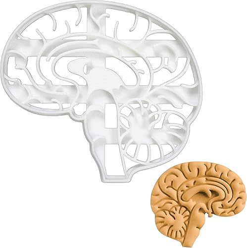 Cortador de galletas anatómico Brain, 1 pieza - Bakerlogy