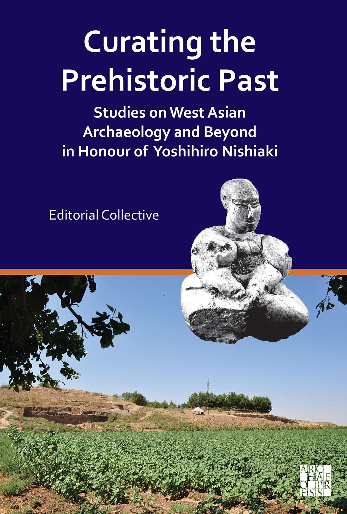 Curating The Prehistoric Past