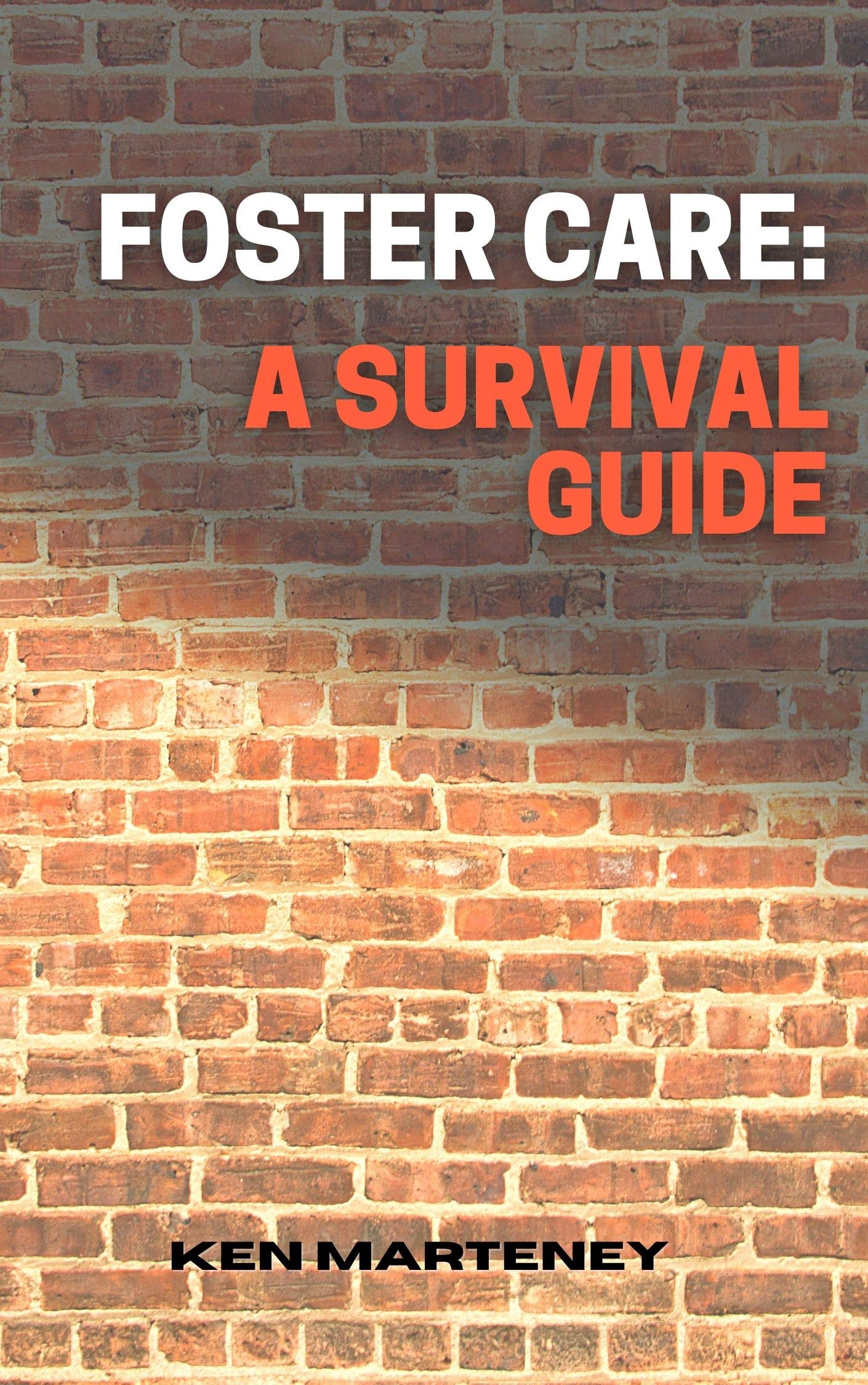Foster Care: A Survival Guide