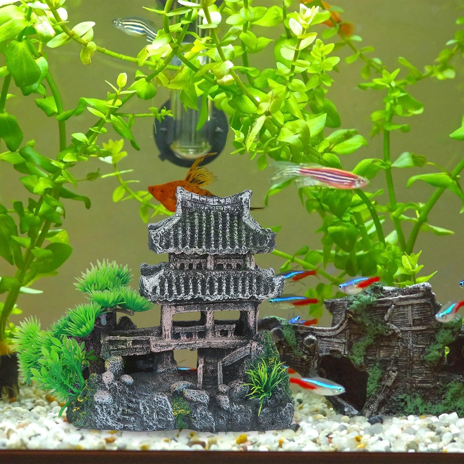 Saim Extra Large Aquarium Decorations, Resin Castle and Artificial Rock with Plants (Ancient Temple with Mountain) Fish Hideout Cave for Amano Shrimp Cichlid to Play, Hide and Rest Hardscape