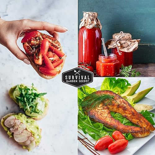 Miniatura 5 de 1 paquete de semillas de tomate Roma para plantar con instrucciones para cultivar tomates romaníes italianos en tu huerto casero, favorito de