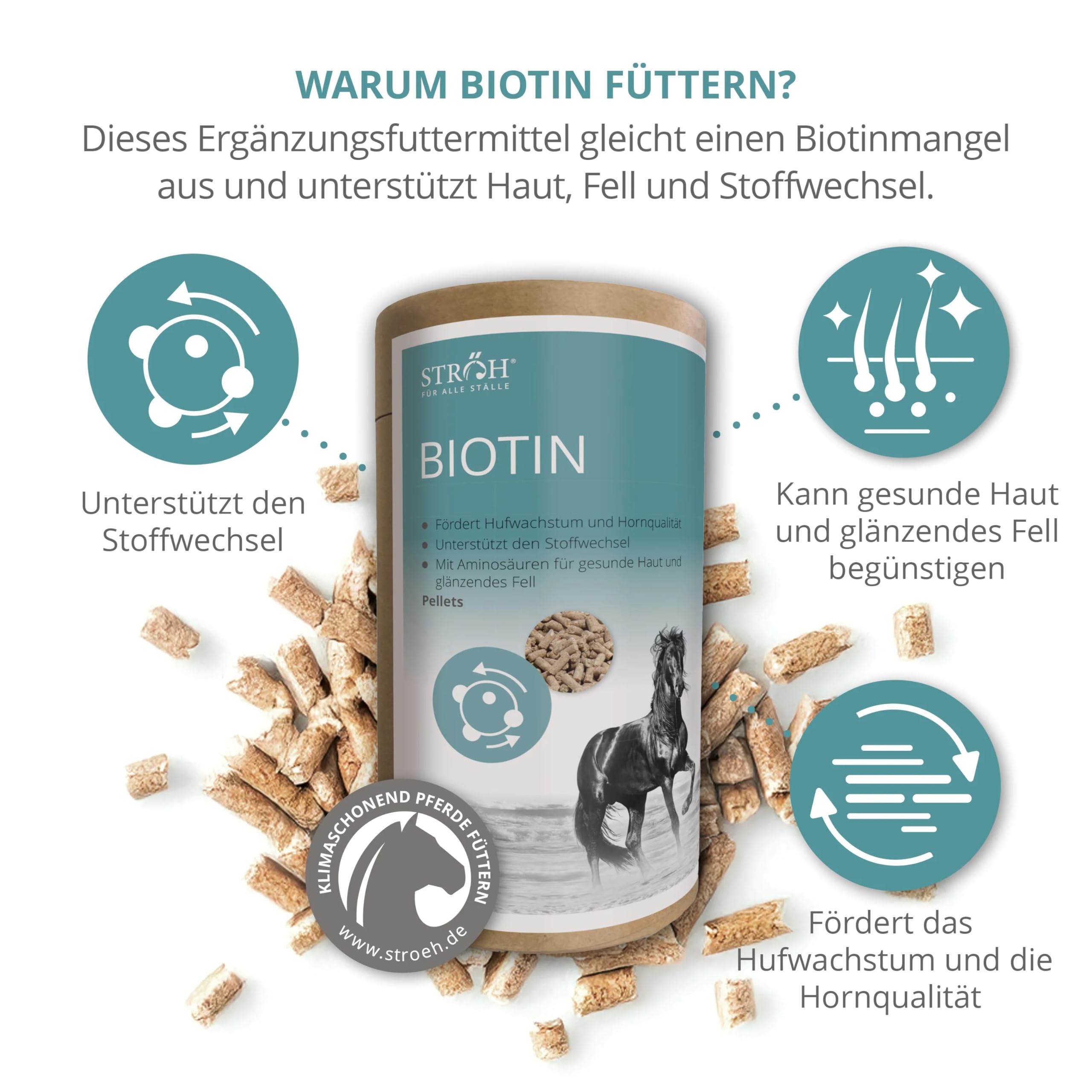 STRÖH Biotin für Pferde - Mit Aminosäuren + Zink - 1,2 kg Feedbox Dose
