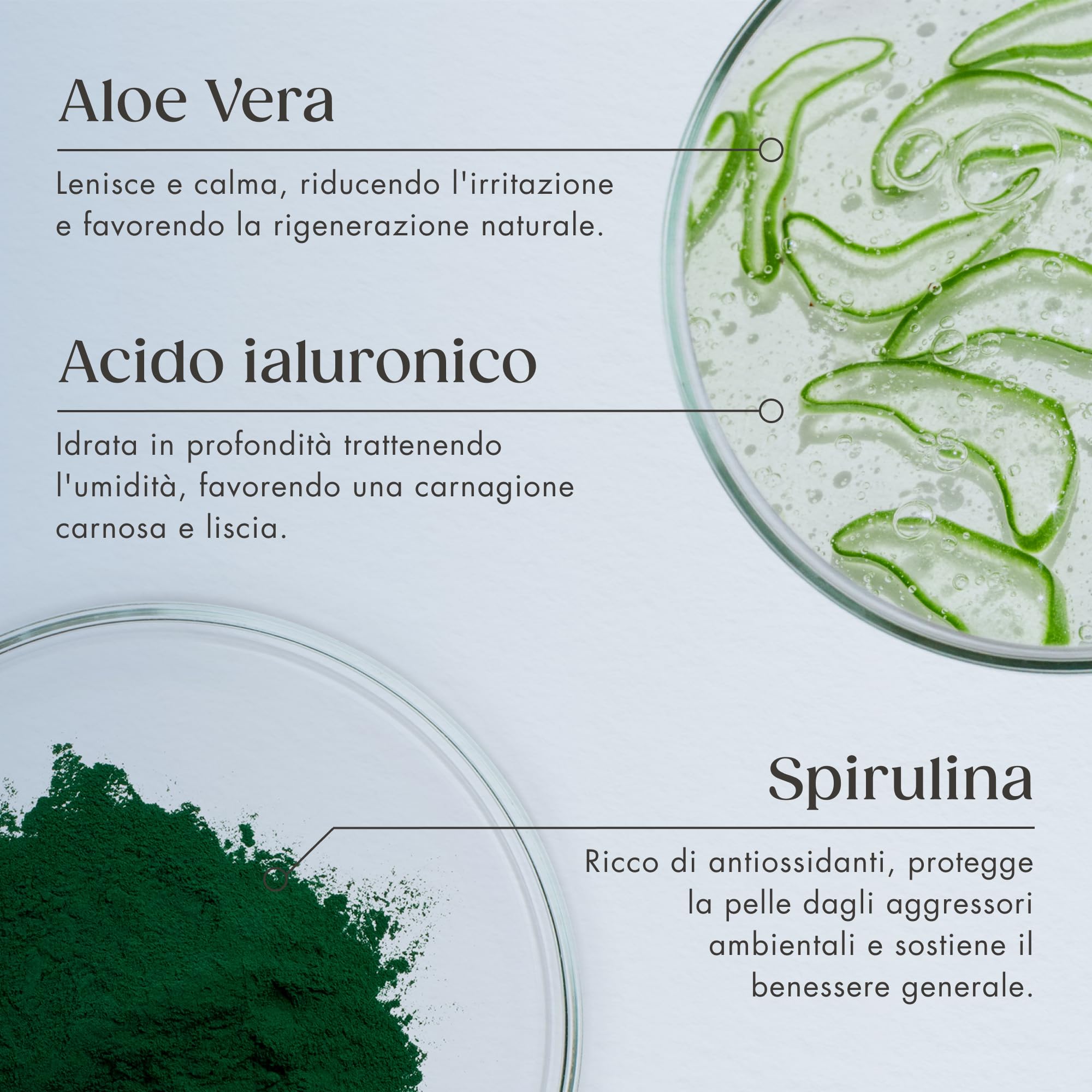 Satin Naturel Siero Acido Ialuronico ad Alta Efficacia 100 ml – Trattamento Viso Bio all’Acido Ialuronico – Siero Idratante Anti Age – Vegan – Idratazione 24 h – Cura del Viso per Donne e Uomini