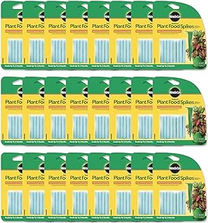 Miracle-Gro Indoor Plant Food Spikes, Includes 24 Spikes - Continuous Feeding for all Flowering and Foliage Houseplants - NPK 6-12-6