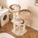 PETSITE 41 Arbre Cat moderne de pouce pour les chats d'intérieur, arbre Cat mignon multi-niveaux avec des poteaux à gratter, Condo chat en osier fait main & Perche supérieure, boule de danse et corde sisale, beige