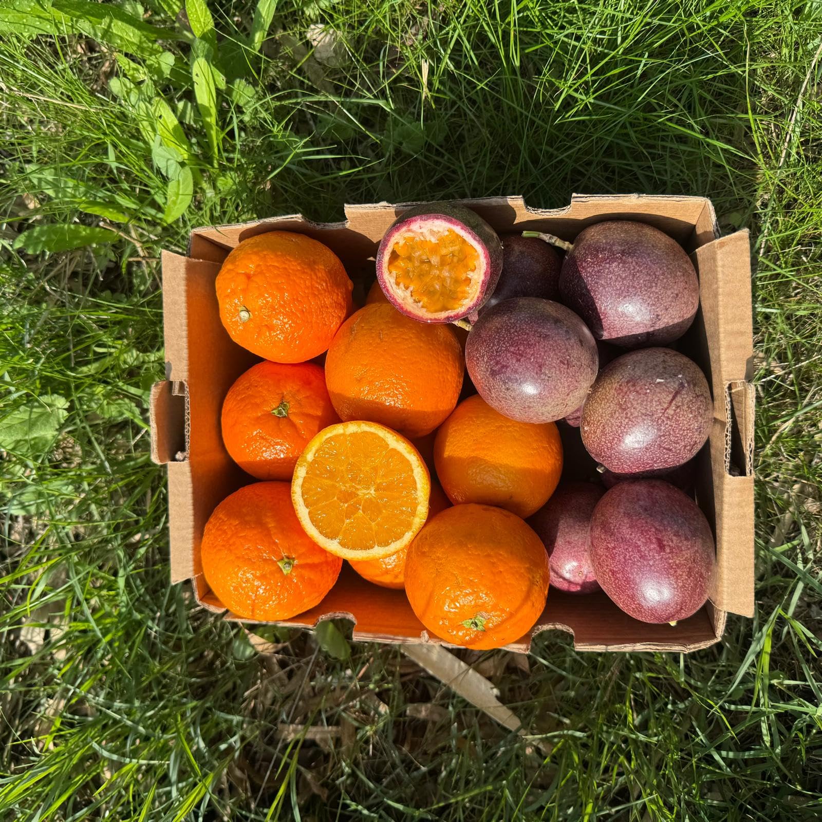 Vitalem – Caja de Naranjas Frescas 1,5 kg + Maracuyá 250 gr | Fruta de la Pasión | Fruta Fresca de Temporada | 100% Natural | Cultivo Local Málaga | Para Smothies, Batidos y Yogurt