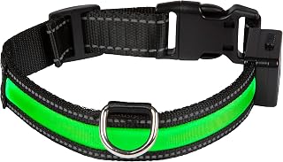 Eyenimal Num'axes Collar Eyenimal con USB Verde-S, Small