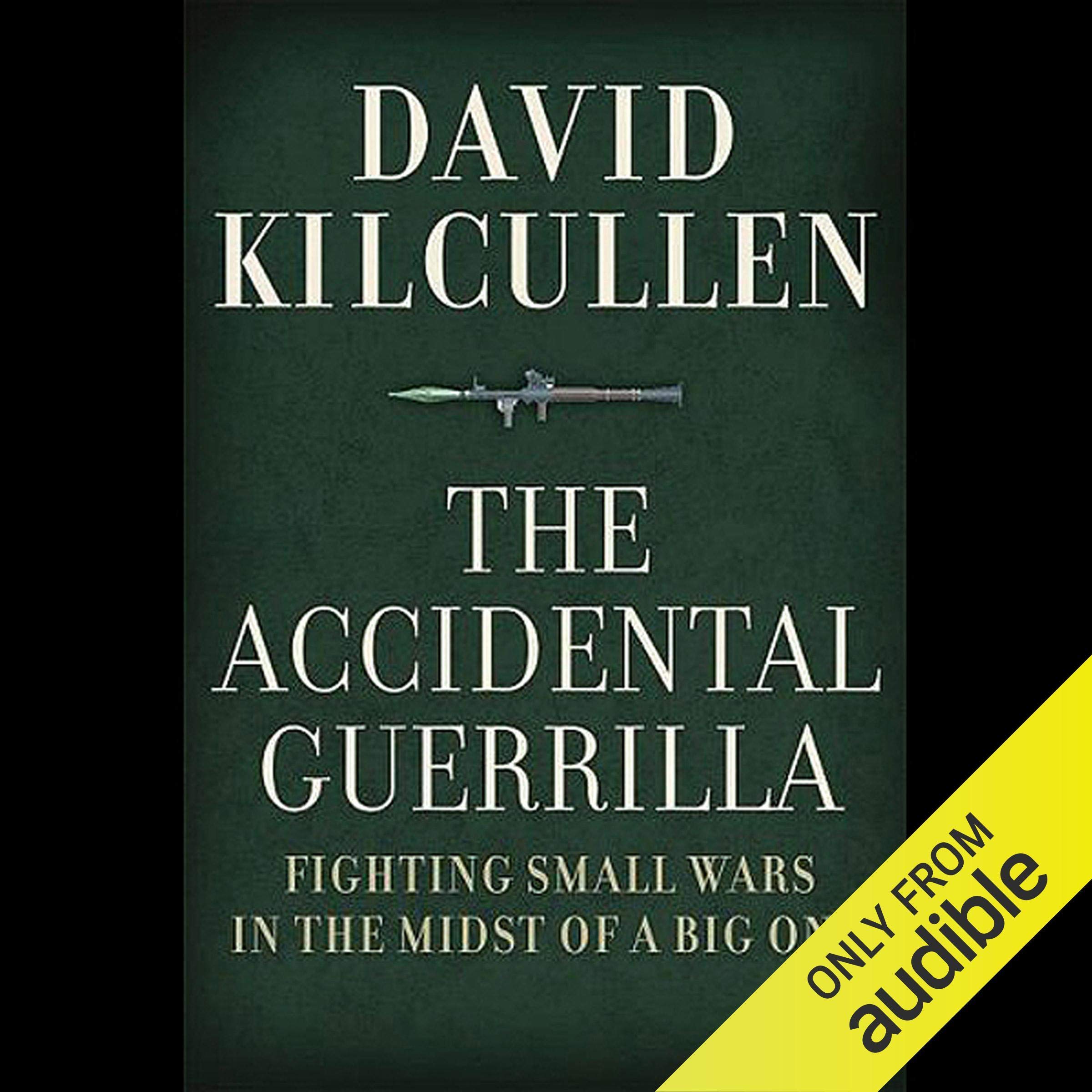 Cover art for The Accidental Guerrilla