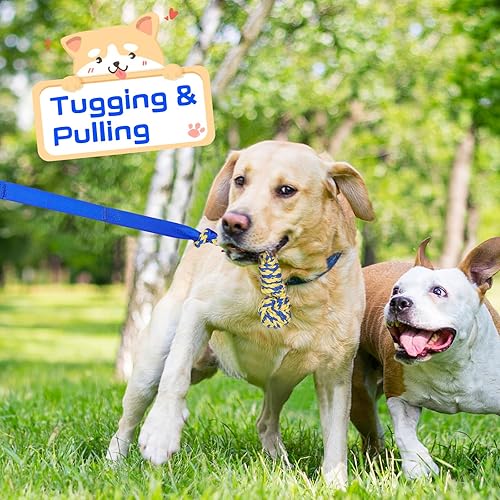 Miniatura 6 de XiaZ Juguete de tira y afloja para perros, juguete interactivo para perros, cuerda elástica para colgar con 2 juguetes de cuerda para masticar,