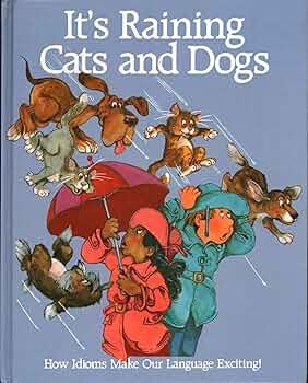 Raining Cats and Dogs 未開封BOX It's Raining Cats and Dogs : Amazon.sg: Books